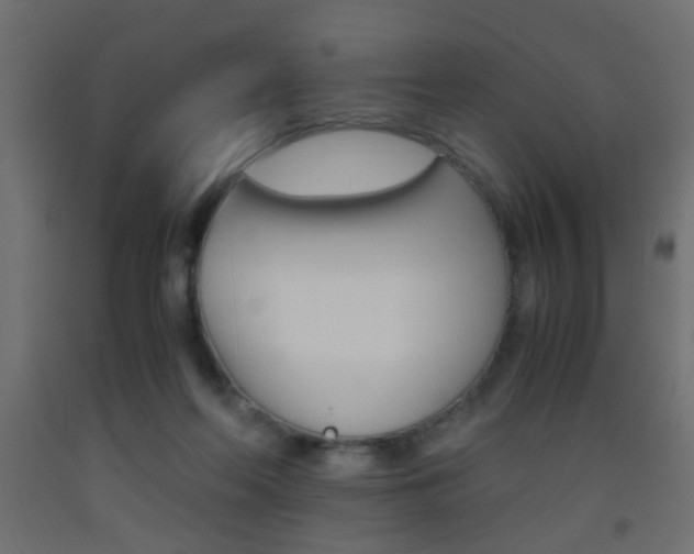 X0000093440214200710120952