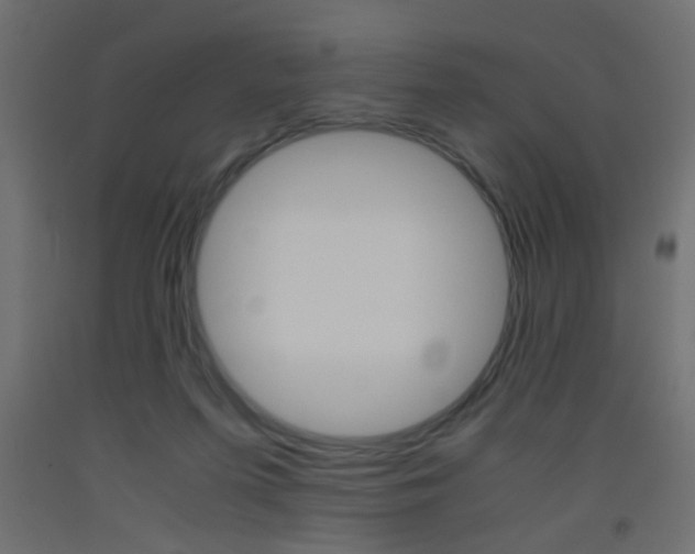 X0000093440215200710120952