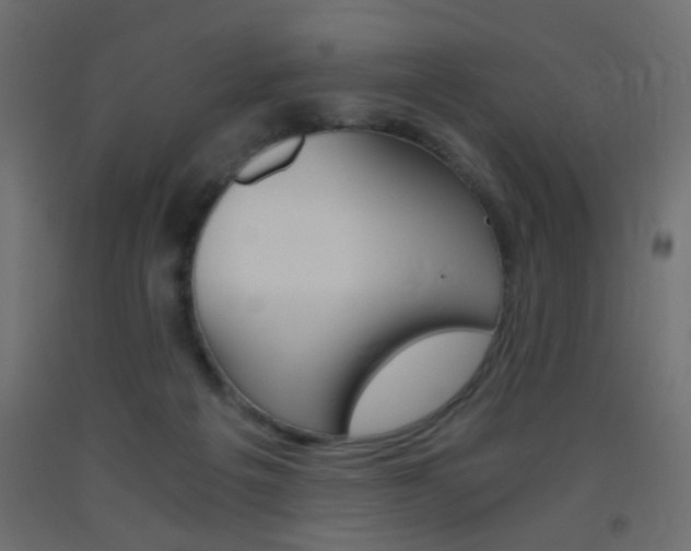 X0000093440217200710120952