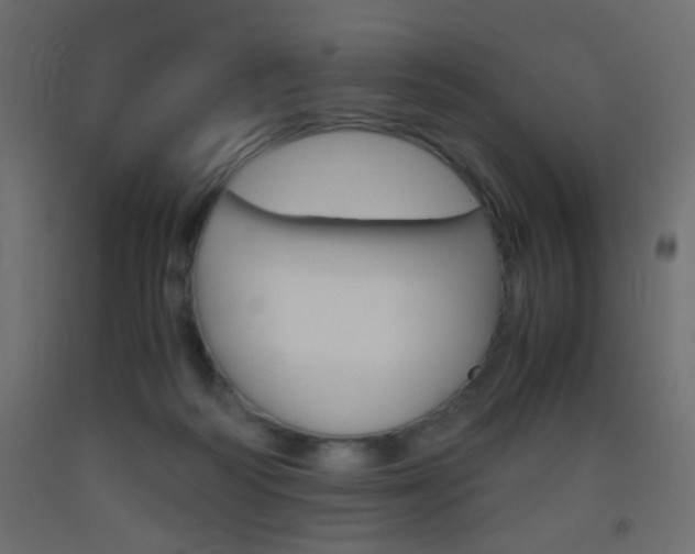 X0000093440218200710120952