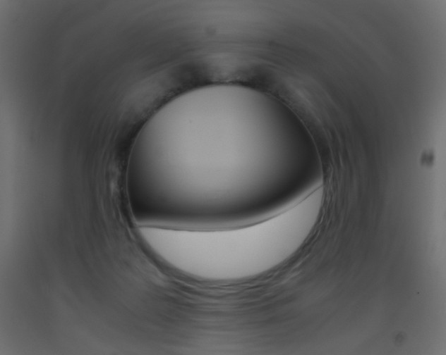X0000093440219200710120952