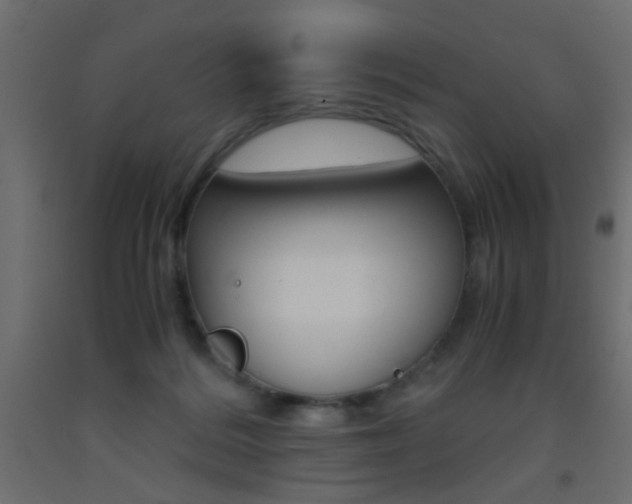 X0000093440220200710120952