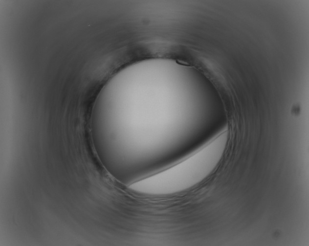 X0000093440221200710120952