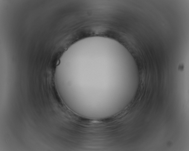 X0000093440222200710120952