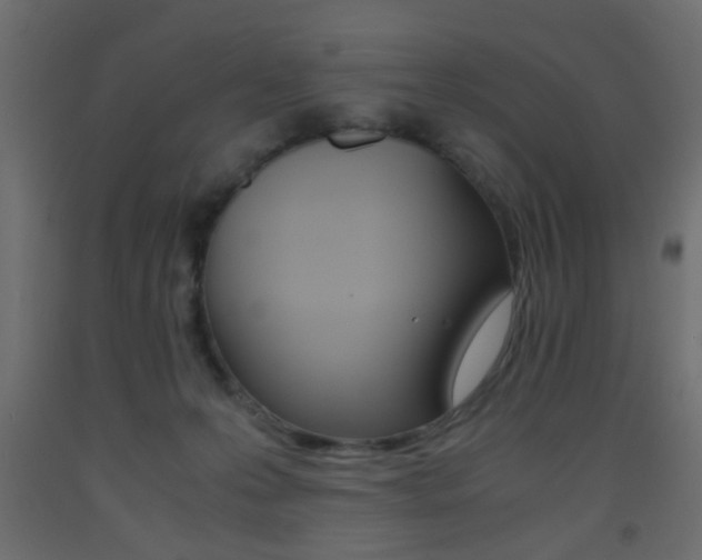 X0000093440223200710120952