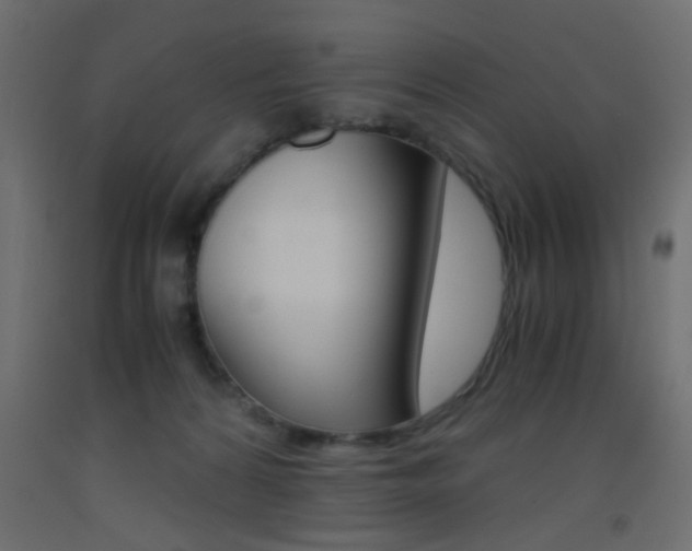 X0000093440224200710120952
