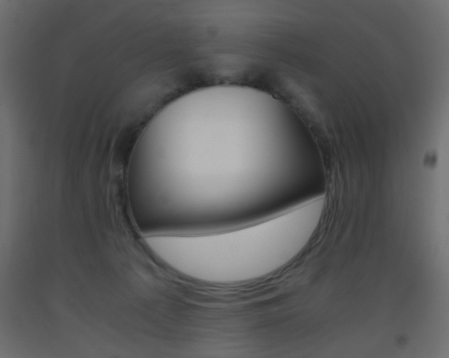 X0000093440225200710120952