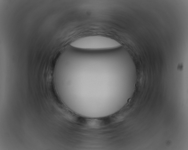 X0000093440226200710120952