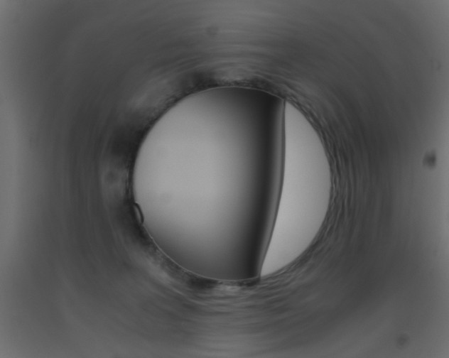 X0000093440227200710120952
