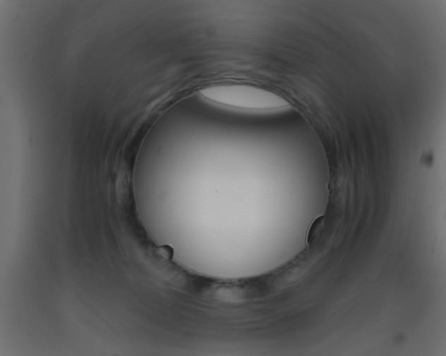 X0000093440228200710120952
