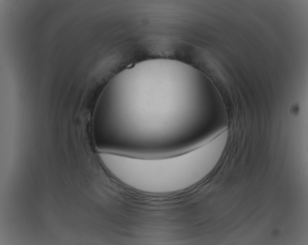 X0000093440229200710120952