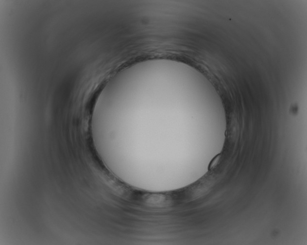 X0000093440230200710120951