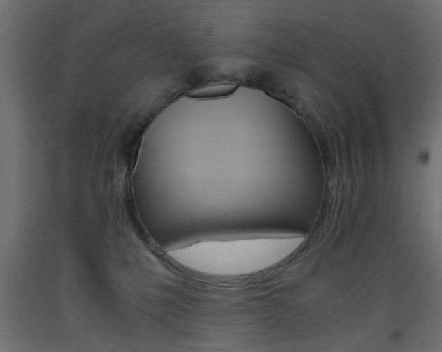X0000093440231200710120951