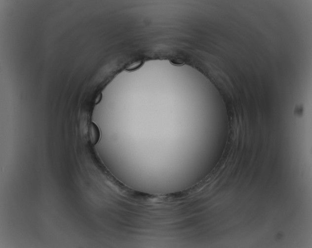 X0000093440232200710120951
