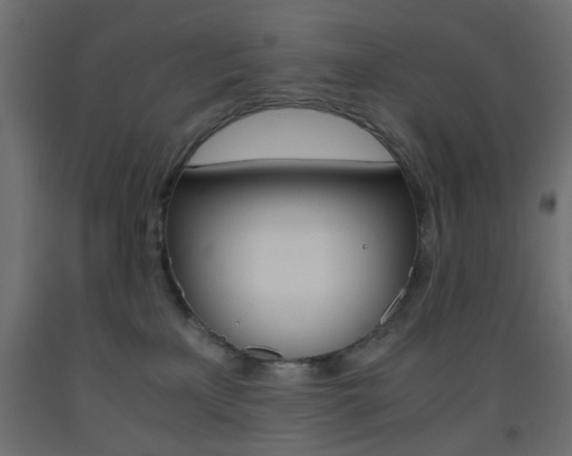 X0000093440233200710120951