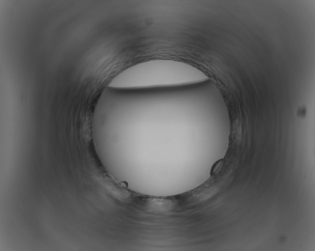X0000093440234200710120951