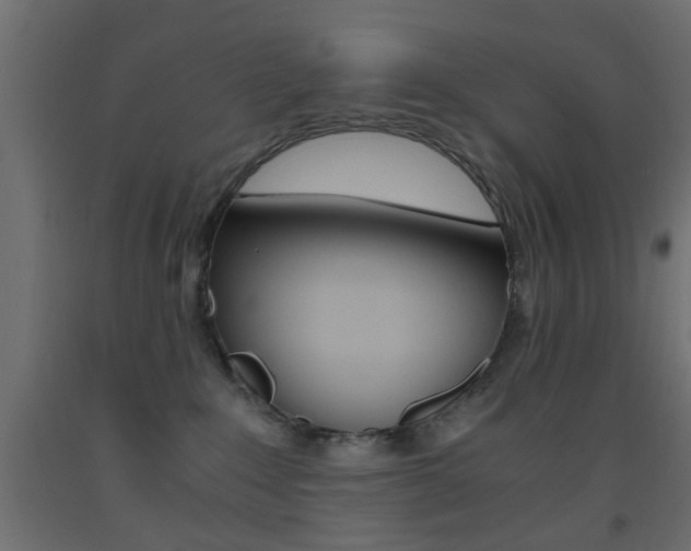 X0000093440235200710120951