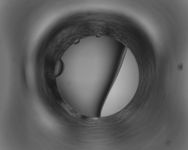 X0000093440239200710120951