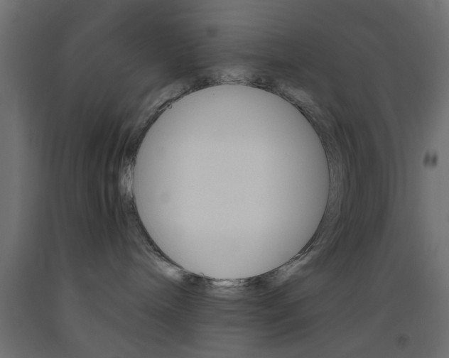 X0000093440240200710120951