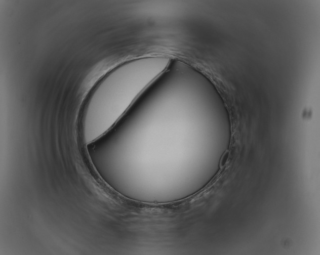 X0000093440242200710120951
