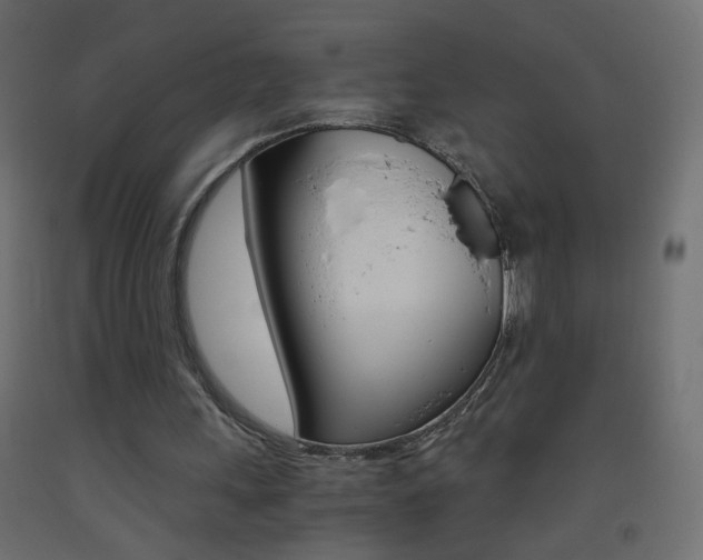 X0000093440243200710120951