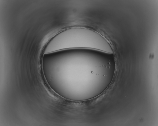 X0000093440245200710120951