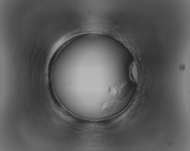 X0000093440246200710120951