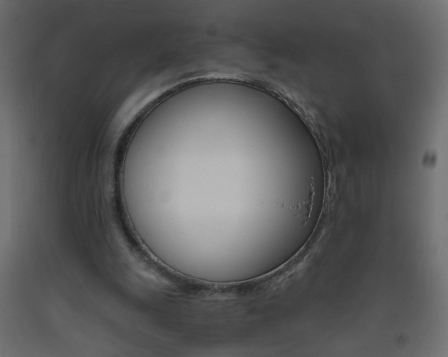 X0000093440247200710120951