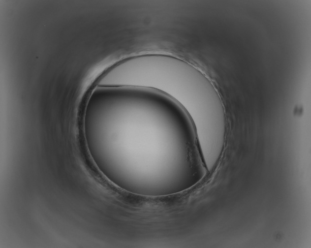 X0000093440248200710120951