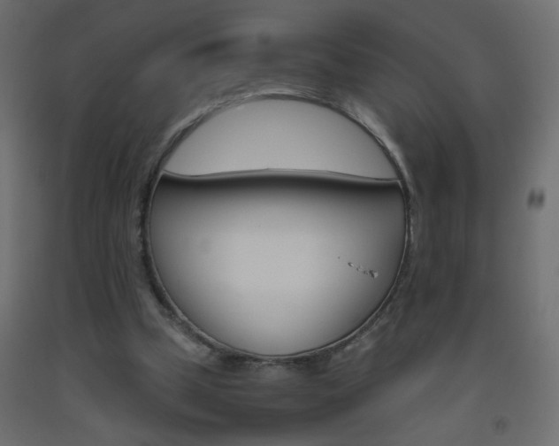 X0000093440249200710120951