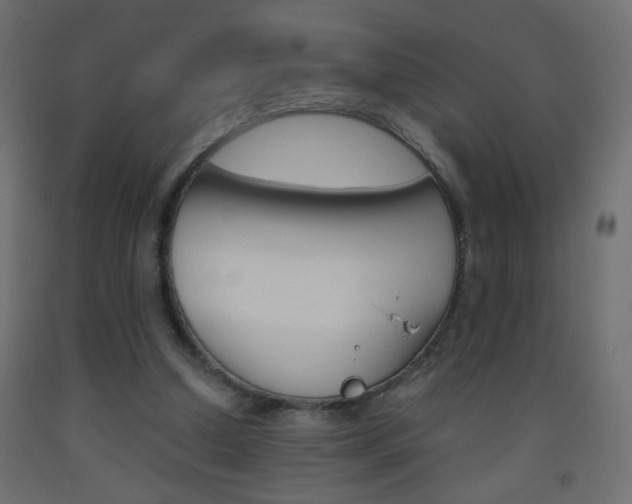 X0000093440250200710120951