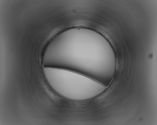 X0000093440253200710120951