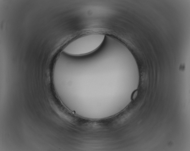 X0000093440254200710120951