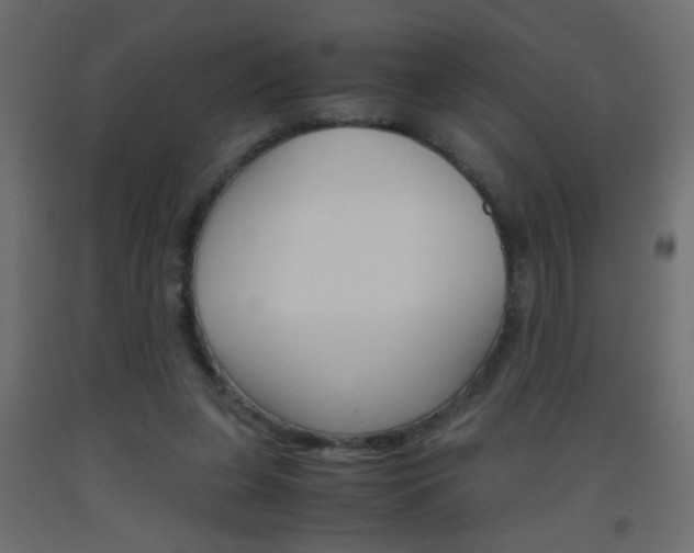X0000093440255200710120951