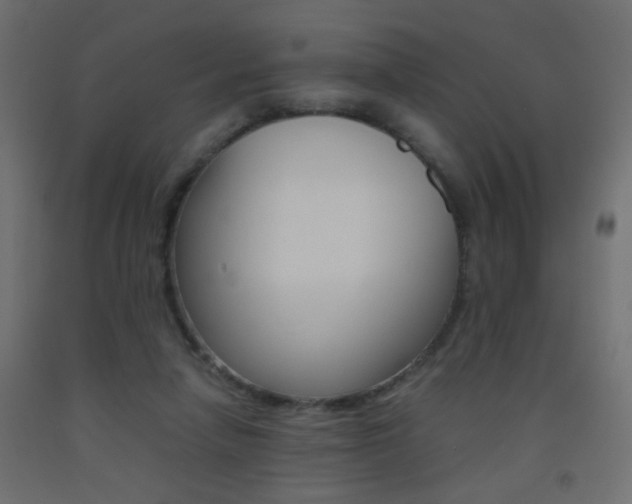 X0000093440258200710120951