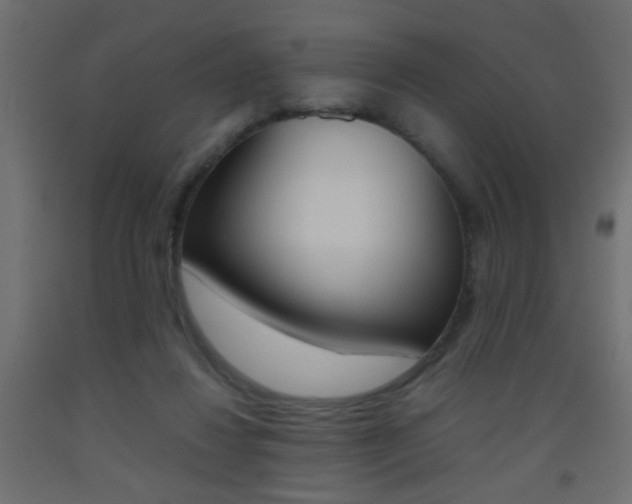 X0000093440260200710120951