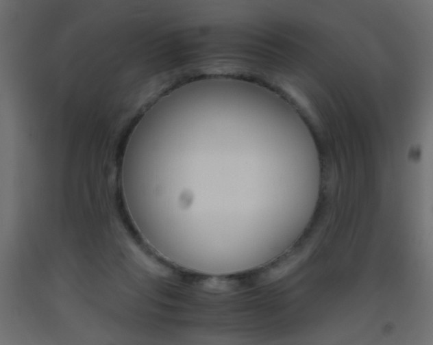 X0000093440261200710120951