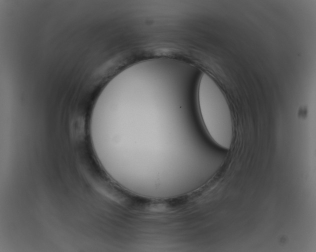 X0000093440262200710120951