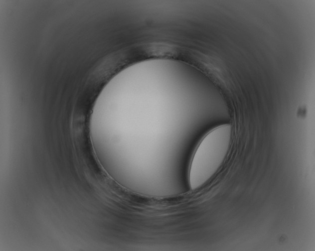 X0000093440263200710120951