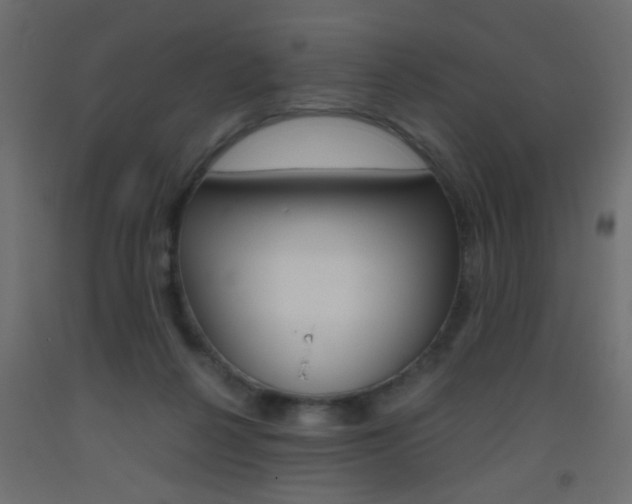 X0000093440264200710120951