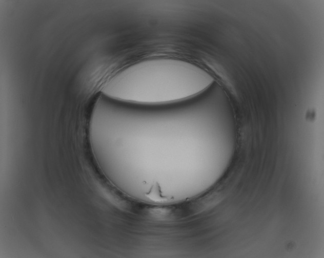 X0000093440265200710120951