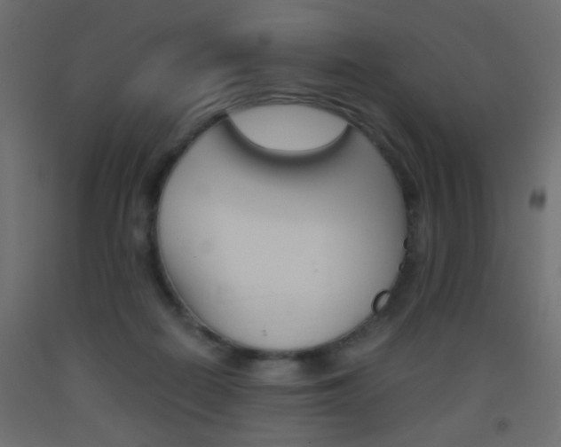 X0000093440266200710120951