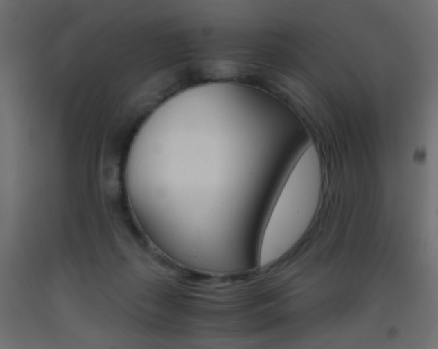 X0000093440267200710120951