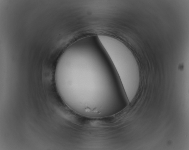 X0000093440268200710120951
