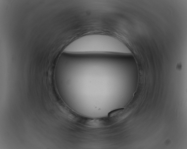 X0000093440269200710120951