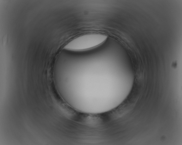 X0000093440270200710120951