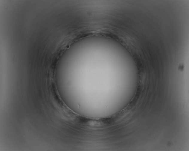 X0000093440272200710120951