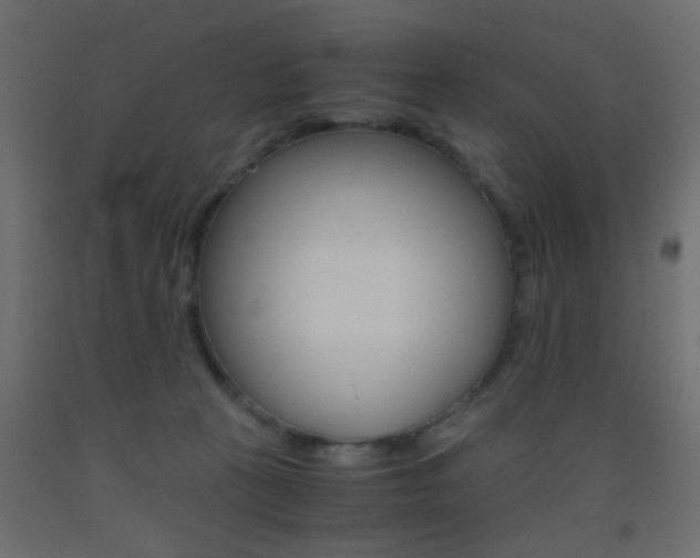 X0000093440273200710120951