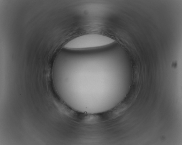 X0000093440274200710120951