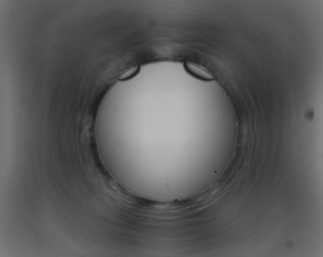 X0000093440275200710120951